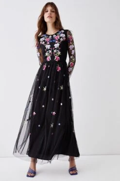 Coast Long Sleeve Floral Embroidered Mesh Midi Dress