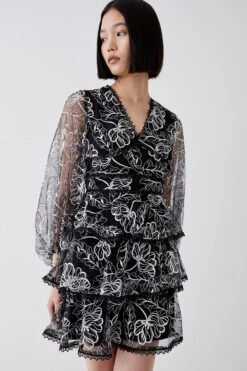 Coast Embroidered Mesh Tiered Mini Dress