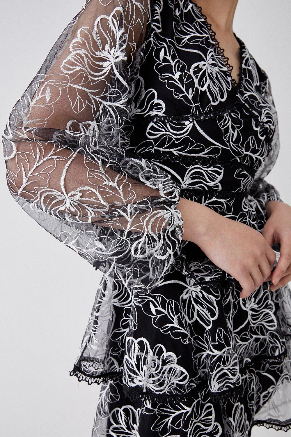 Coast Embroidered Mesh Tiered Mini Dress 2 Coast Embroidered Mesh Tiered Mini Dress - Image 2