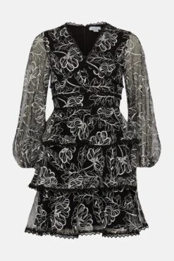 Coast Embroidered Mesh Tiered Mini Dress 8 Coast Embroidered Mesh Tiered Mini Dress -Coast bcc04489 mono xl 3