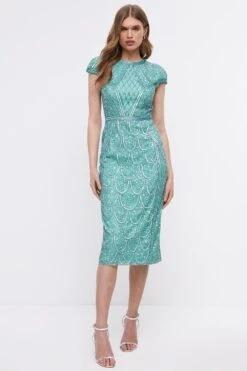 Coast Hand Embellished Placement Design Cap Sleeve Pencil Dress