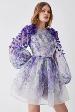 Coast Hand Stitched 3d Floral Organza Mini Dress -Coast bcc04572 lilac xl 2