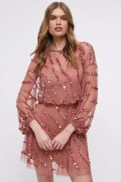 Coast Hand Embellished Mini Dress