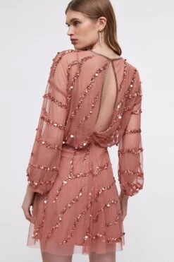 Coast Hand Embellished Mini Dress -Coast bcc04652 rose xl 2