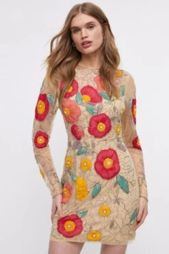 Coast Premium Hand Embellished Chiffon Floral Mini Dress