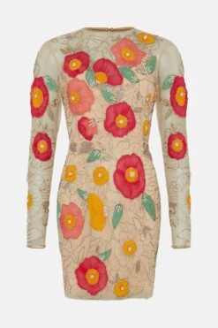 Coast Premium Hand Embellished Chiffon Floral Mini Dress -Coast bcc04673 multi xl 3