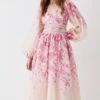 Coast Organza Floral Placement Lace Trim Midaxi Dress