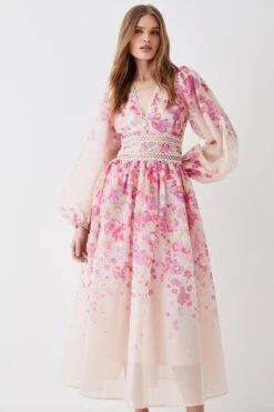Coast Organza Floral Placement Lace Trim Midaxi Dress