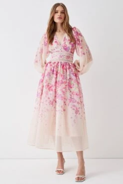 Coast Organza Floral Placement Lace Trim Midaxi Dress -Coast bcc05182 blush xl 2