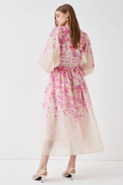 Coast Organza Floral Placement Lace Trim Midaxi Dress -Coast bcc05182 blush xl 4