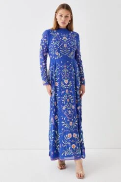 Coast Statement Embroidered Midi Dress