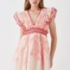 Coast Premium Embroidered Organza Mini Dress With Ruffle Shoulder