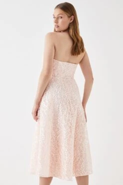 Coast Sweetheart Fit And Flare Midi Dress -Coast bcc05401 blush xl 2