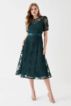 Coast Embroidered Mesh Puff Sleeve Midi Dress