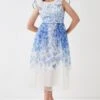 Coast Organza Frill Sleeve Midi Dress