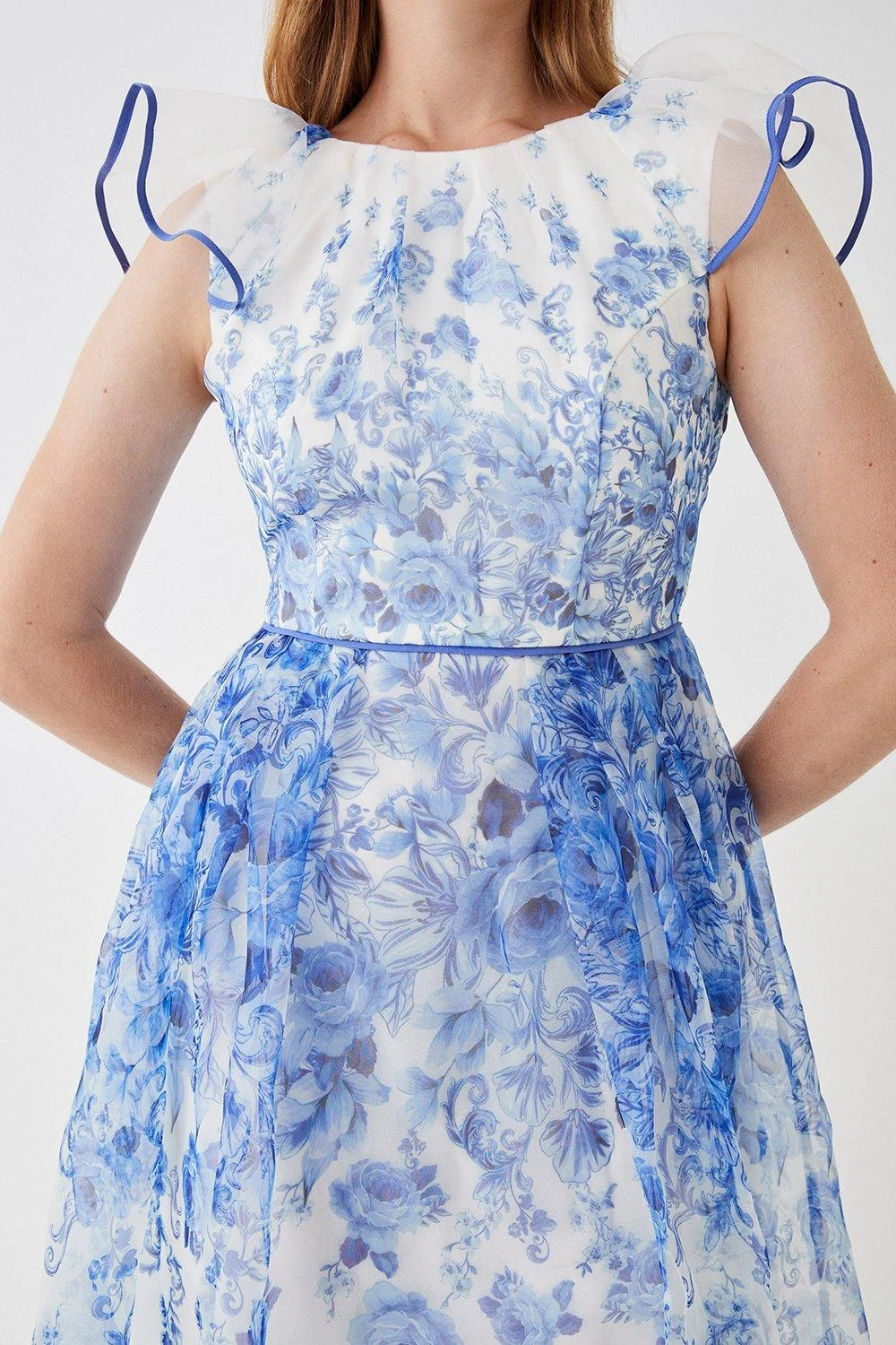 Coast Organza Frill Sleeve Midi Dress 2 Coast Organza Frill Sleeve Midi Dress - Image 2