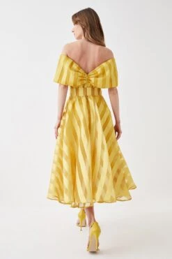 Coast Bardot Midi Dress In Stripe Organza -Coast bcc05690 chartreuse xl 2