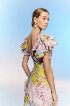 Coast The Collector Frill Sleeve Ruffle Skirt Cotton Midi Dress