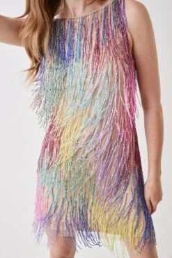 Coast Mini Rainbow Embellished Fringe Dress 7 Coast Mini Rainbow Embellished Fringe Dress -Coast bcc05823 multi xl 3