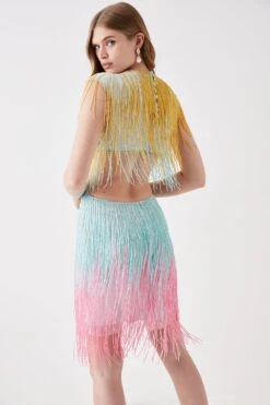Coast Beaded Fringe Colourblock Mini Dress -Coast bcc05824 multi xl 2